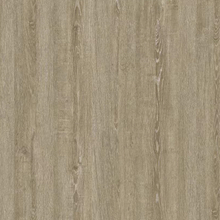  Protex PTW-358 Super Water Resistant & Anti-scratch Laminte Flooring